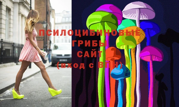 ECSTASY Алексин
