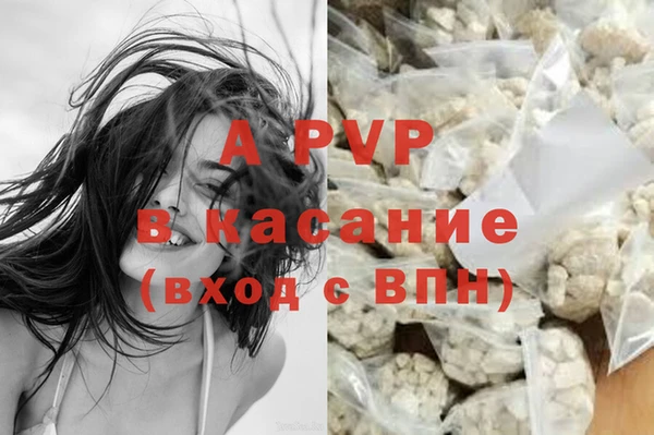ECSTASY Алзамай