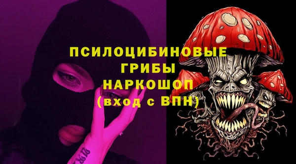твердый Алексеевка
