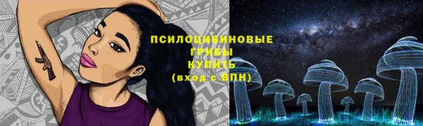 ECSTASY Алексин
