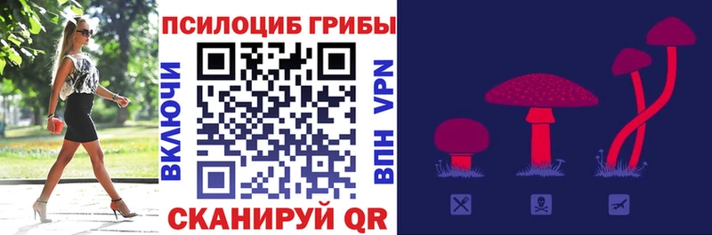 Псилоцибиновые грибы мухоморы  купить наркоту  Сортавала 